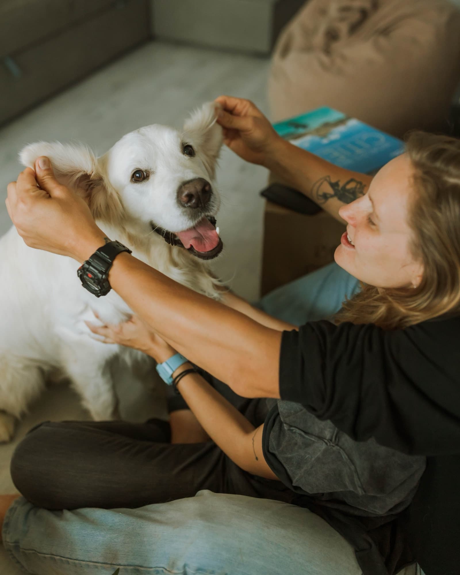 A sitter playing with a happy dog on the floor at home