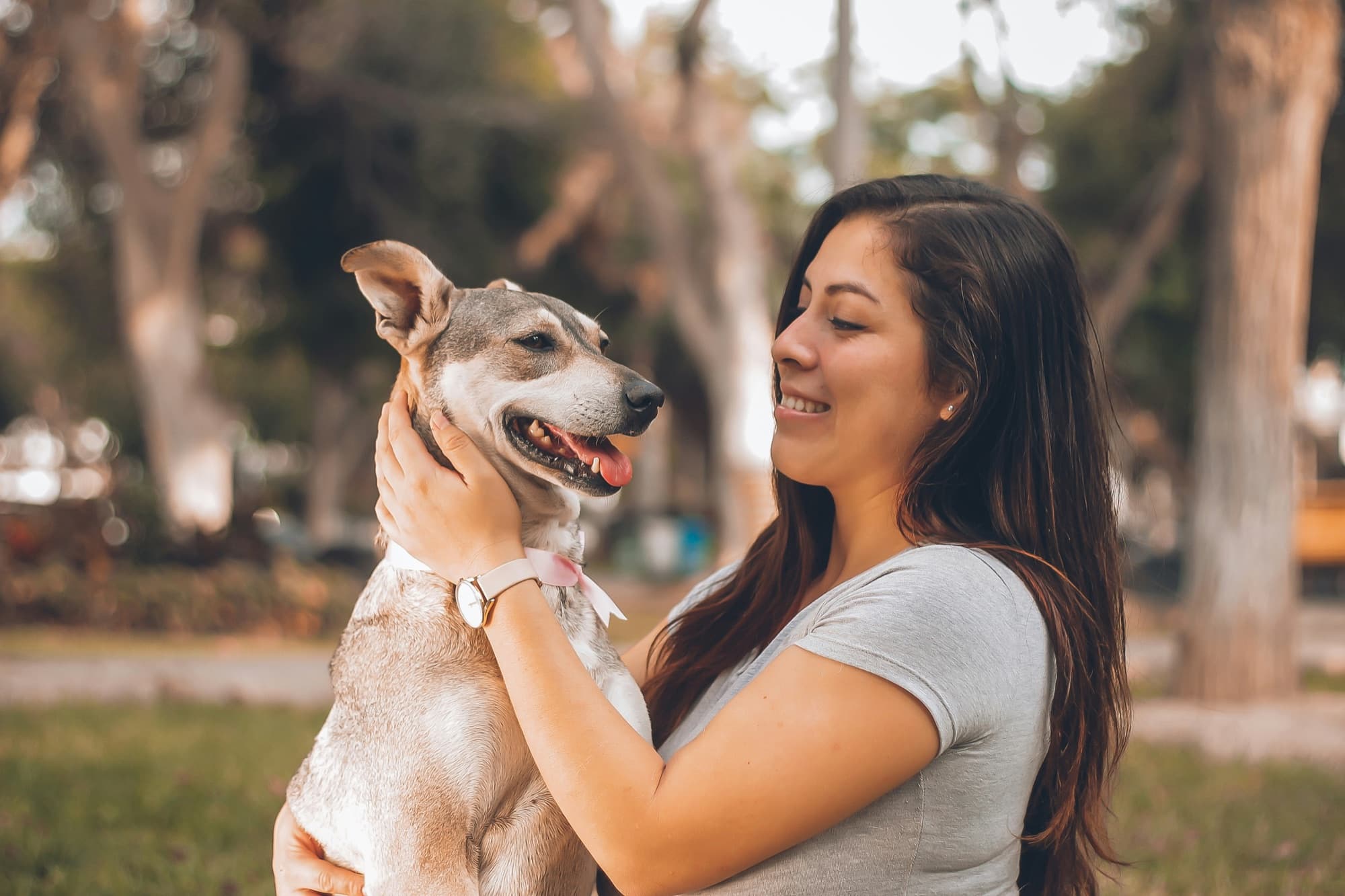 A calm, experienced sitter greeting a dog at eye level