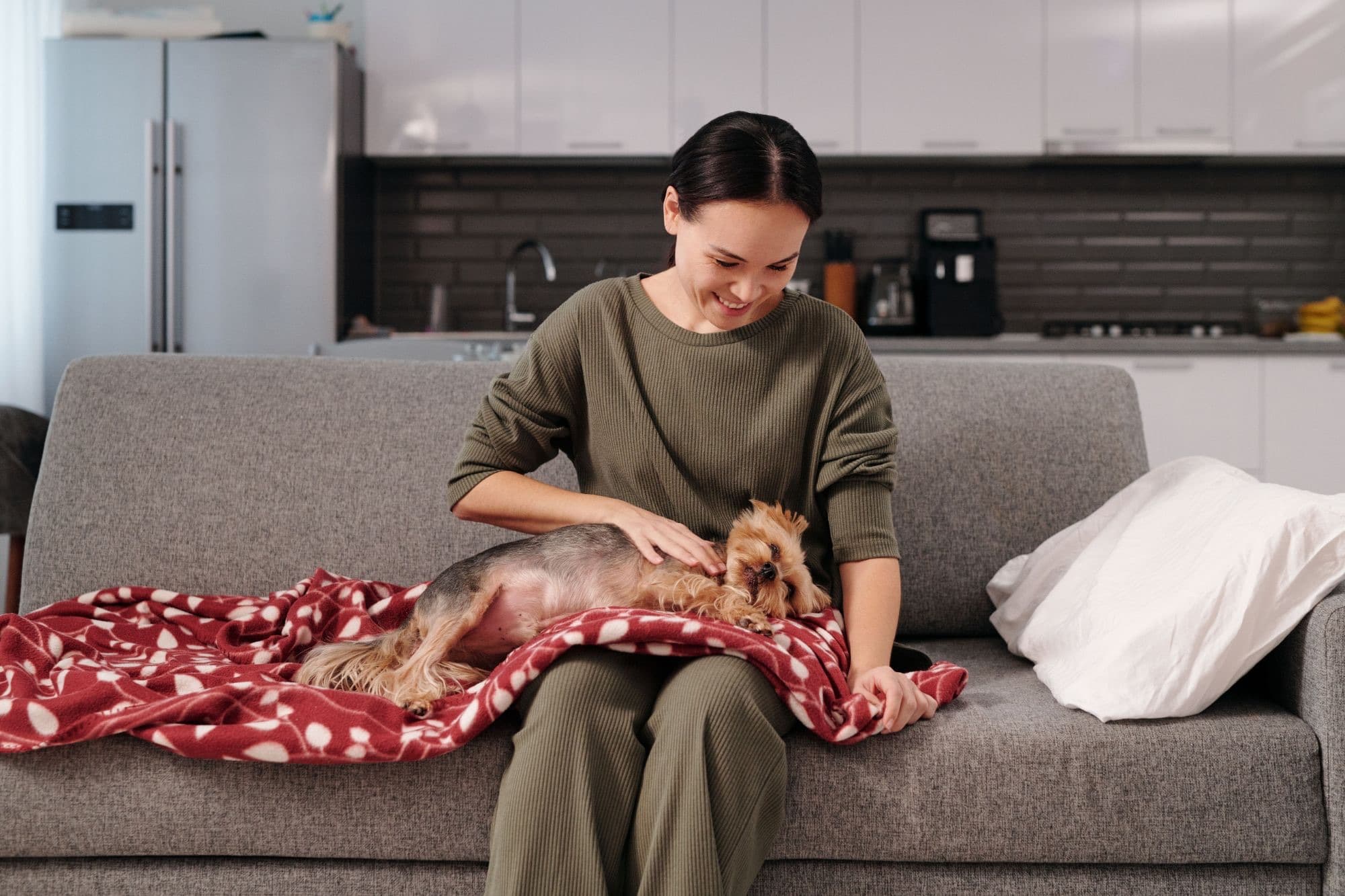 A pet sitter relaxing on the couch with a small dog under a blanket