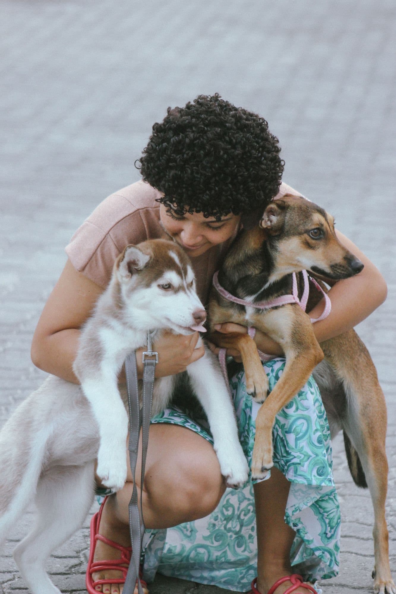 A pet sitter hugging two dogs outdoors