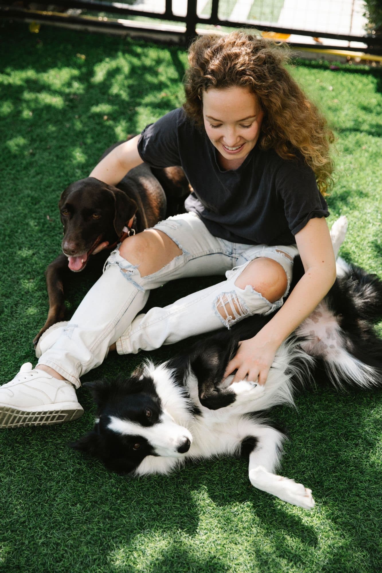 A pet sitter playing on the grass with two happy dogs
